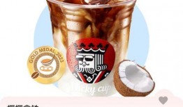 雪王爆料水果茶视频大全,缤纷口味，尽享夏日清凉